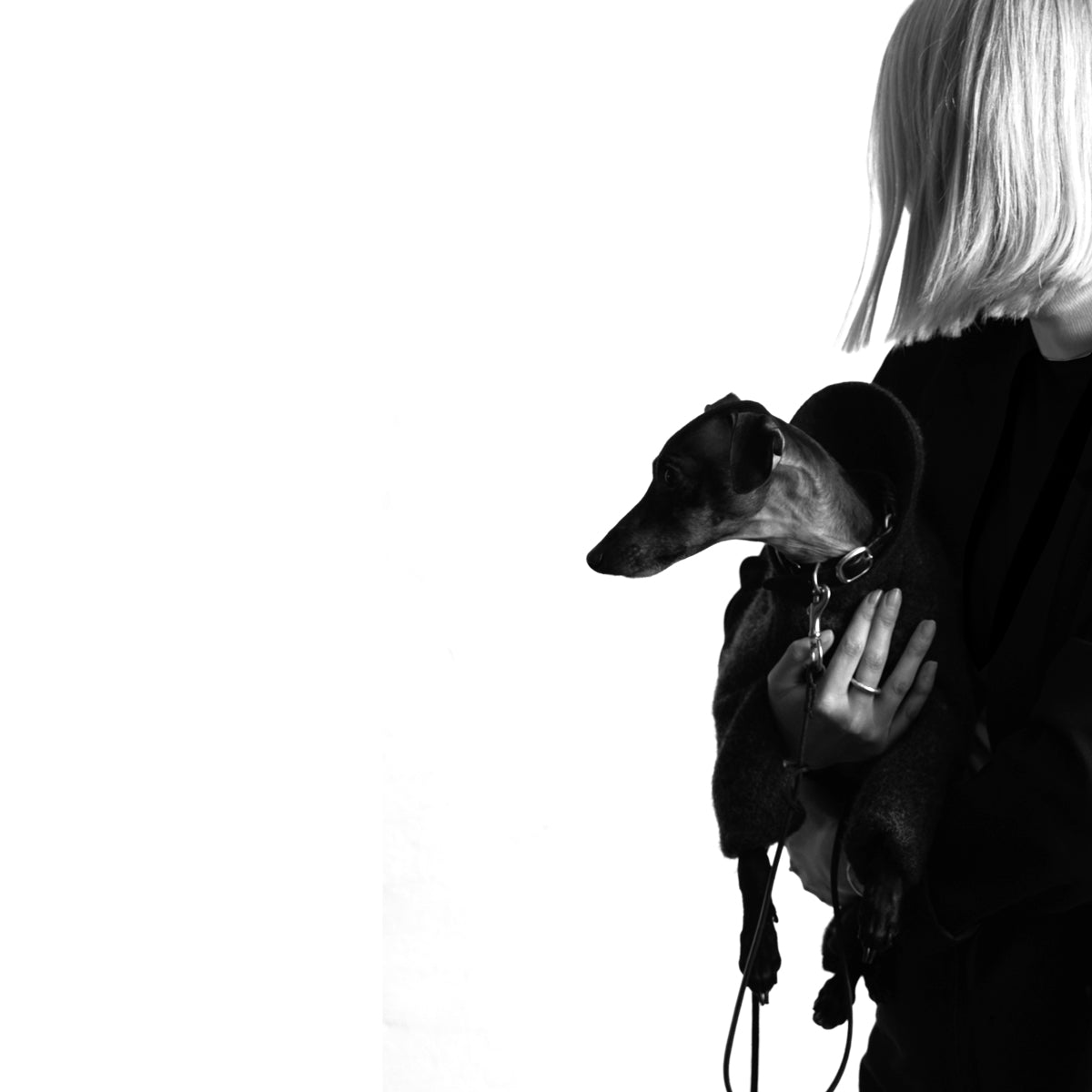 CANEM x LILLUNN