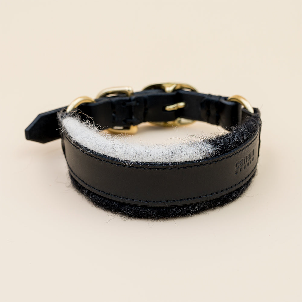 ASH x LILLUNN / classic collar