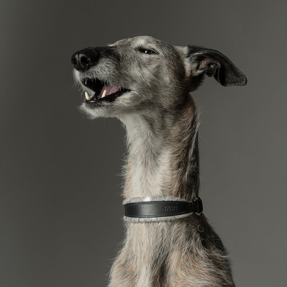 ASH x LILLUNN / classic collar