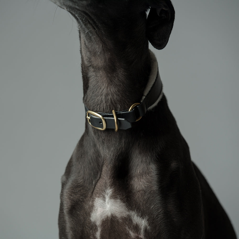 ASH x LILLUNN / sighthound collar