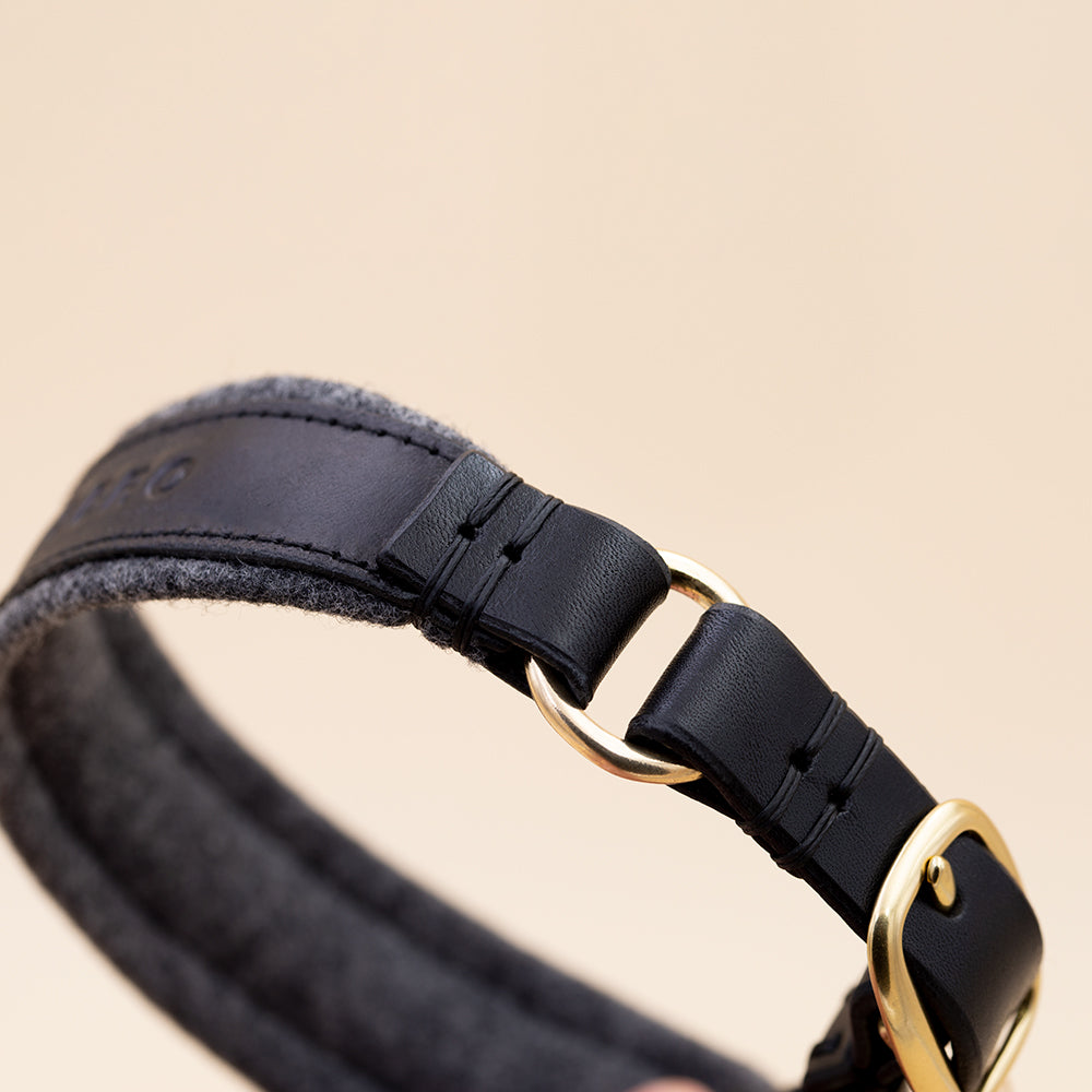 ASH / classic collar