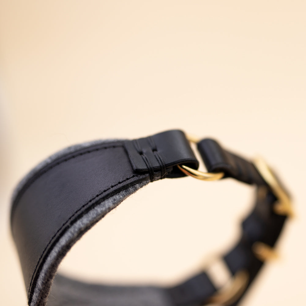 ASH / Sighthound collar