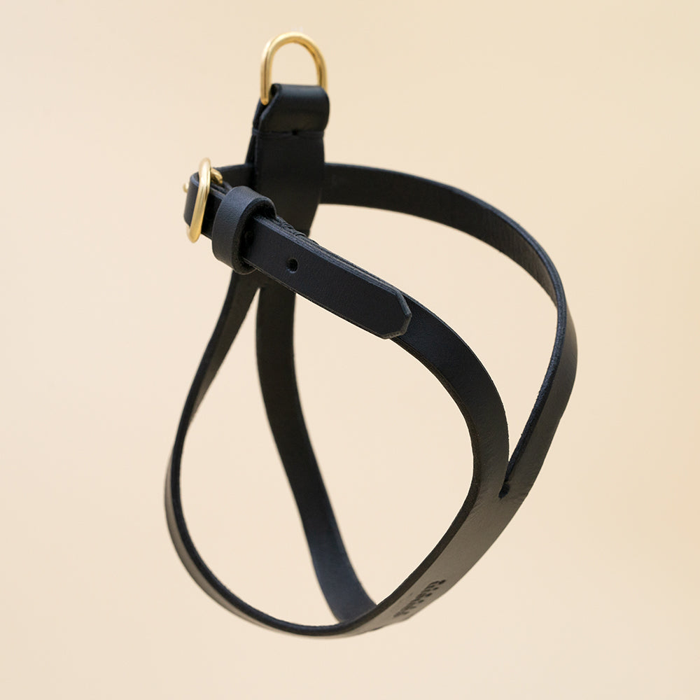 SIOUXSIE / harness