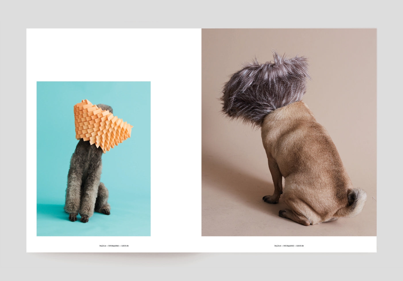 ISSUE 08