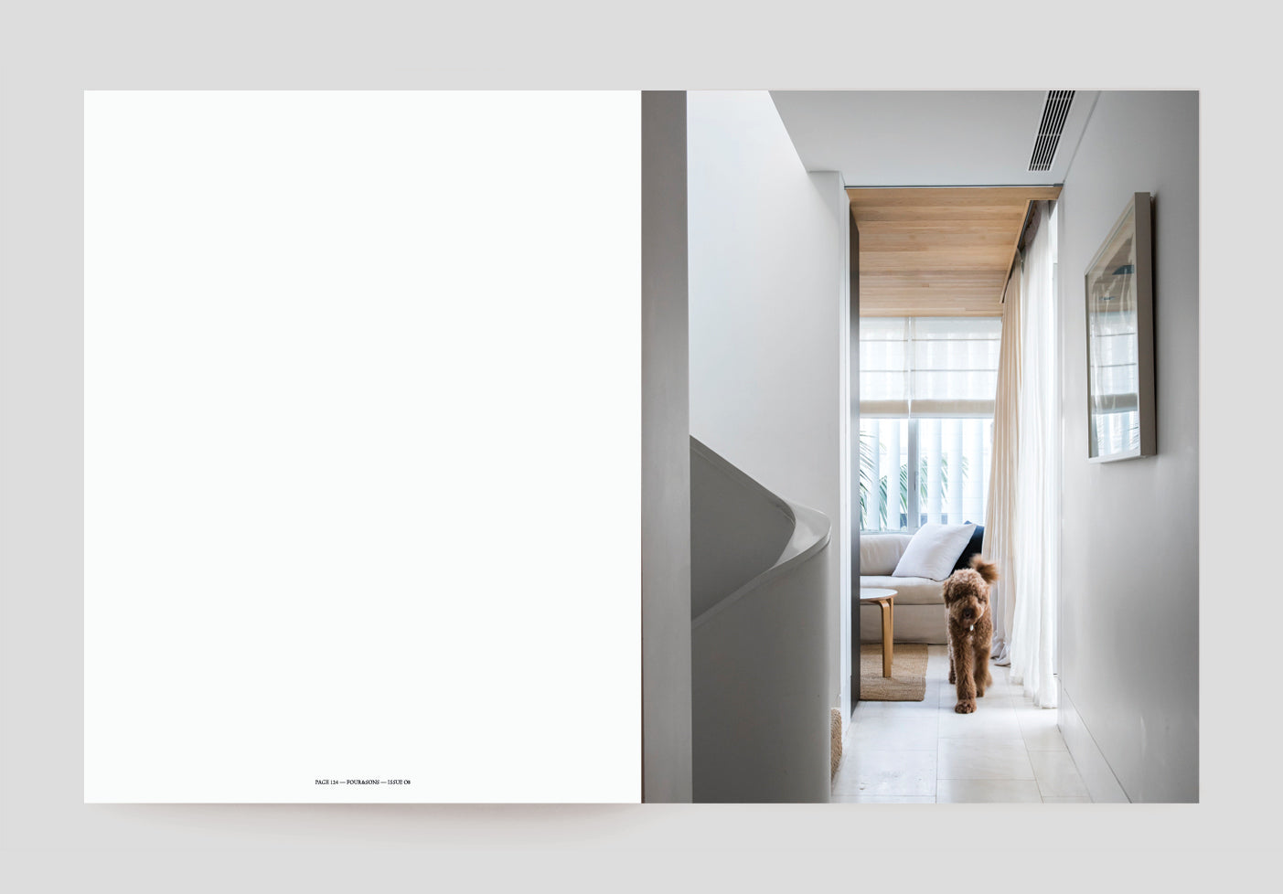 ISSUE 08