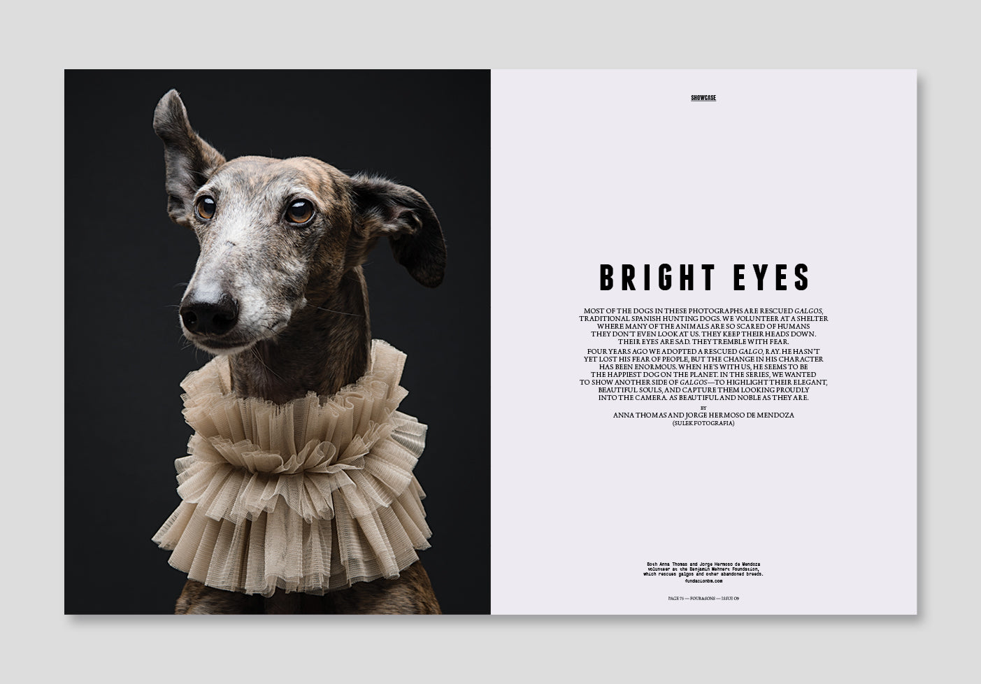 ISSUE 09
