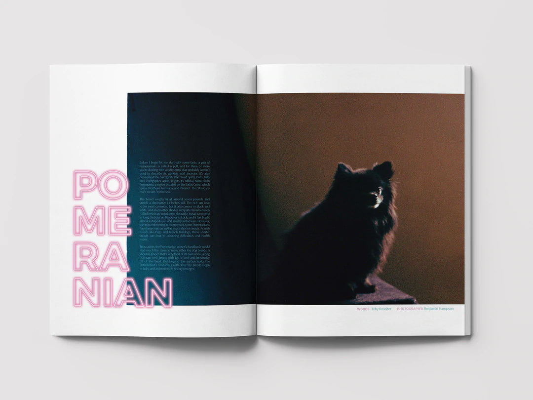 ISSUE 04