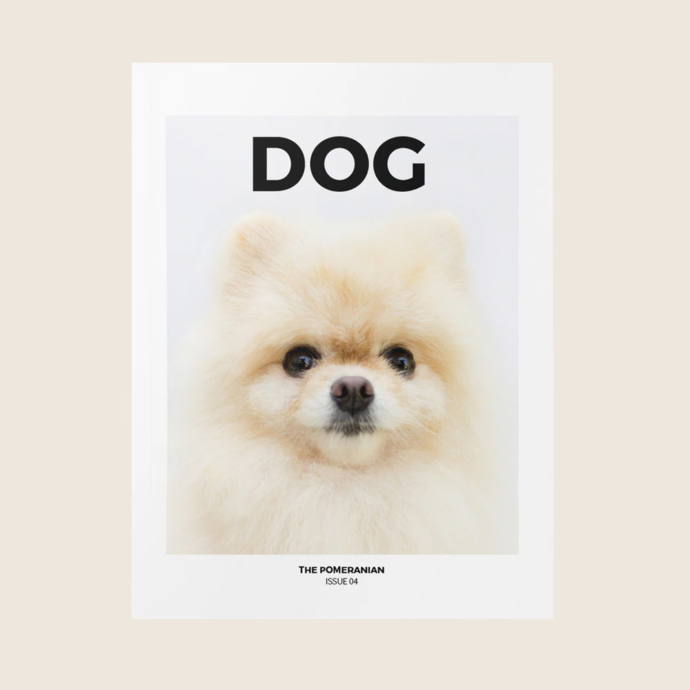ISSUE 04