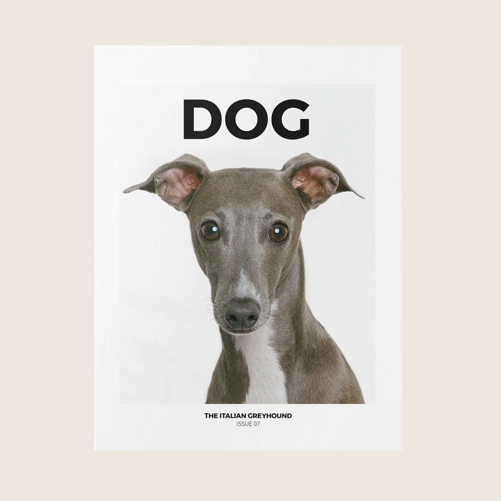 ISSUE 07