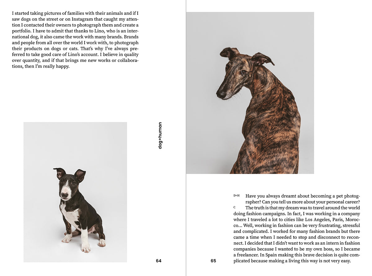 ISSUE 02